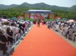青島專業慶典禮儀策劃服務 點亮城市盛會，演繹品牌魅力
